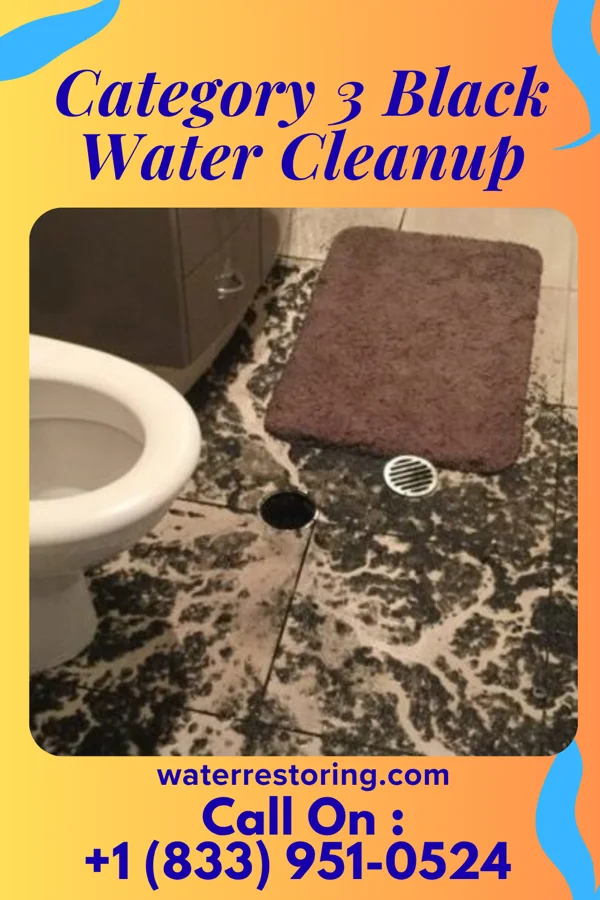 Category 3 Black Water Cleanup in Ingalls Park, IL