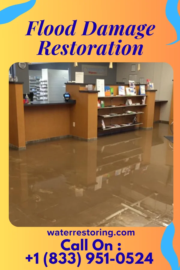 Flood Damage Restoration in Ingalls Park, IL