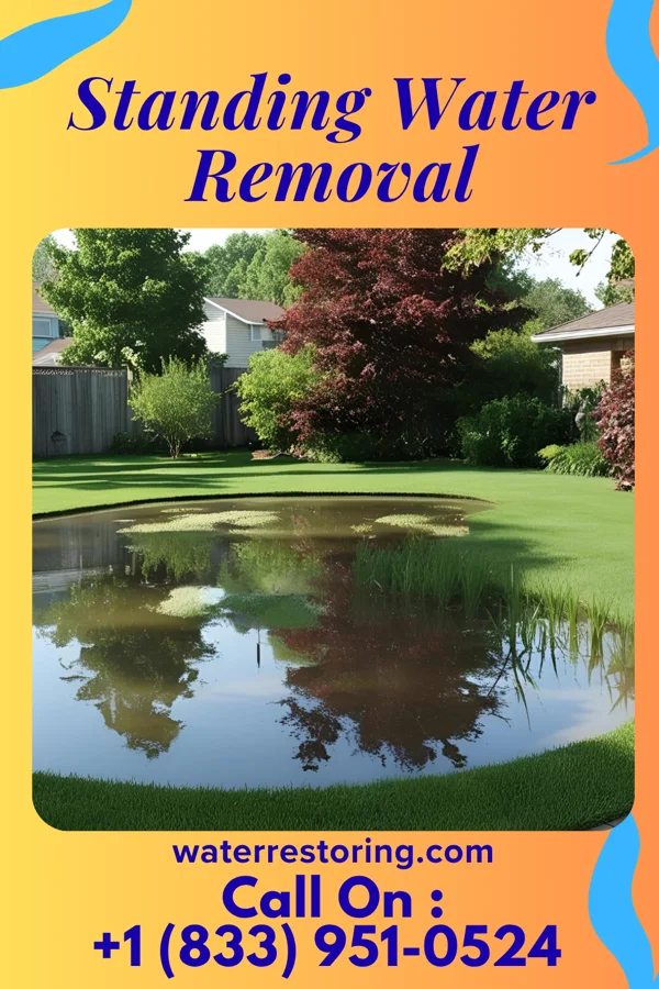 Standing Water Removal in Ingalls Park, IL